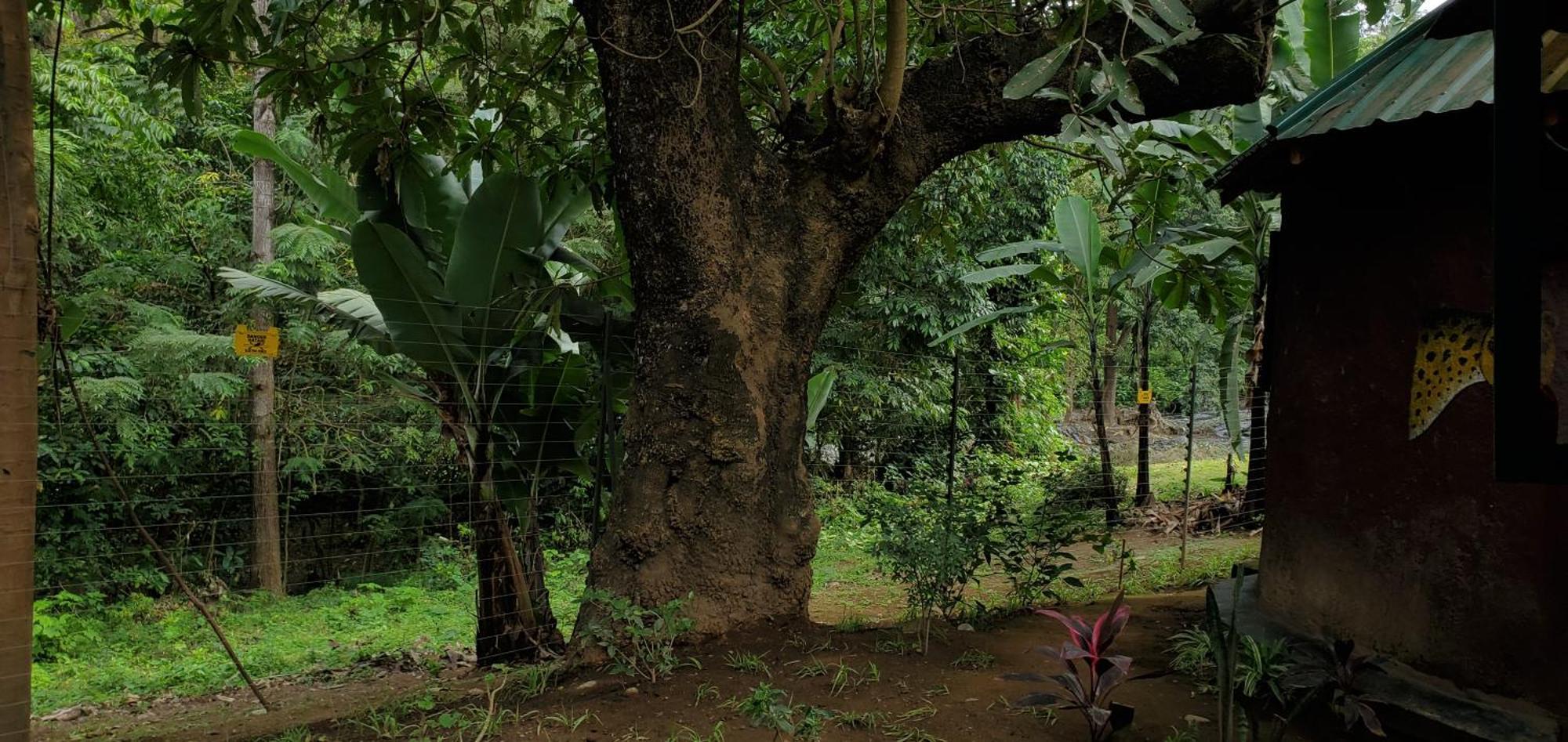Ostello Kizumba House Arusha Esterno foto